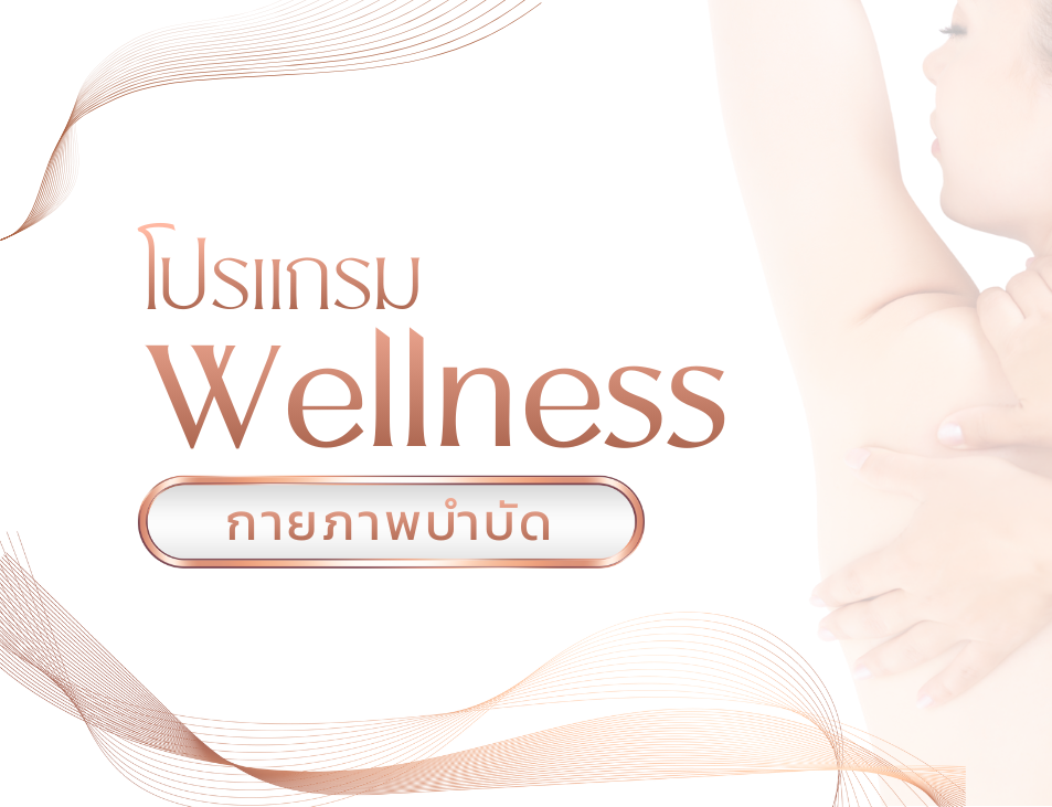 cate-โปรแกรม-Wellness-กายภาพ